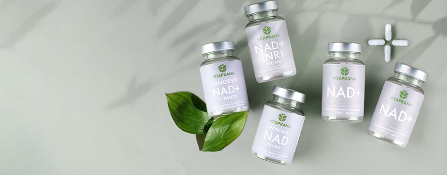 Nad+ 